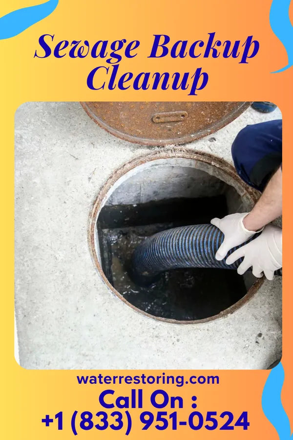 Sewage Backup Cleanup in Peru, KS